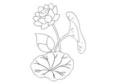 荷花簡筆畫圖片含上色